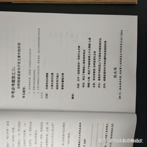 储怎么读 拼音，蓄怎么读