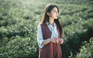 谨小慎微什么意思