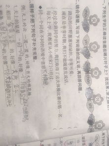 格外的近义词
