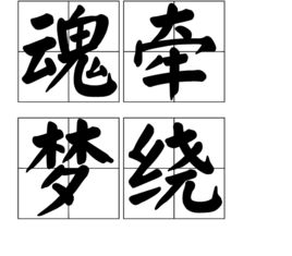 魂牵梦绕是什么意思?