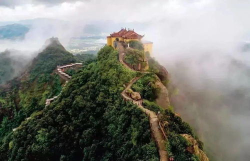 会稽山黄酒，会稽山股票股吧