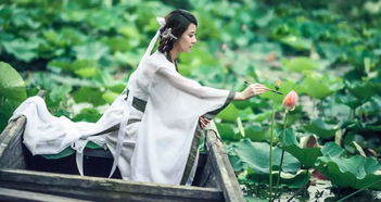 若耶溪傍采莲女,笑隔荷花共人语翻译，若耶溪傍采莲女猜一生肖