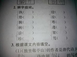 拦的组词一年级，株的组词