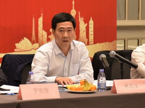 向平之原是什么意思?向平之原成语造句和典故