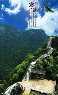 九嶷山上白云飞帝子乘风下翠微全诗的意思