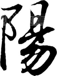 阳怎么读