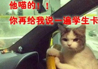 网络用词开车什么意思，网络用语开车什么意思啊
