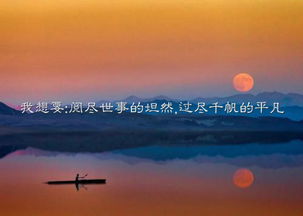 霁月是什么意思
