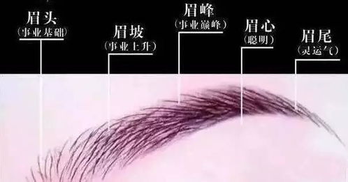 “迫在眉睫”的意思是什么?