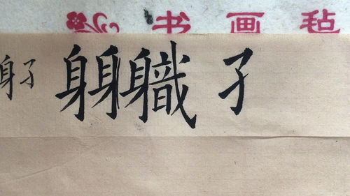 身的偏旁和什么有关系，身的偏旁部首和结构