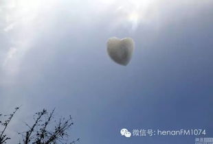 耳朵的朵拼音有声调吗