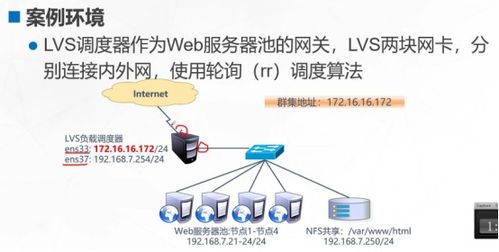 群集什么意思，群集运算是什么意思