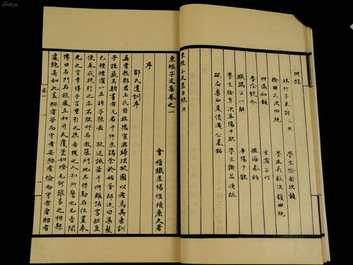 舍本逐末的意思是什么?