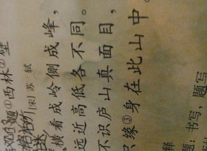 春居的古诗诗意，春居的全部古诗是什么