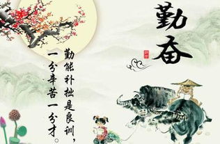 勤能补拙啥意思