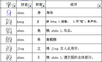身的偏旁部首是什么
