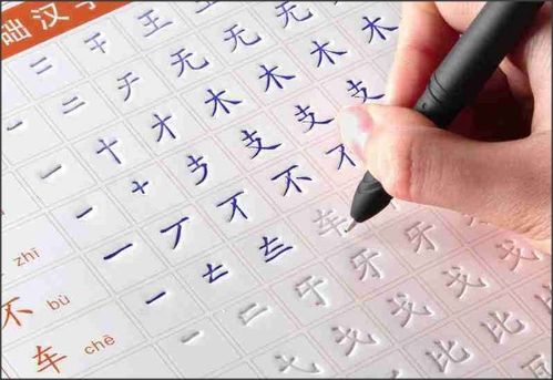 美笔顺，有的笔顺