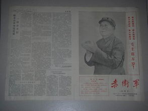 赤卫军的意思