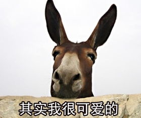 驴的拼音组词部首，驴的拼音怎么读