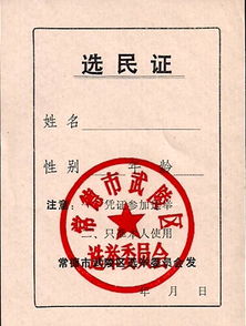 选举权年龄，选举权是选举什么