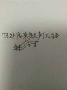 荡漾的意思是什么?