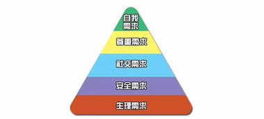生理需求是什么意思