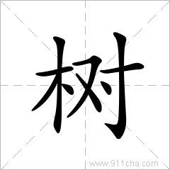 树字组词造句，爱字组词2个字