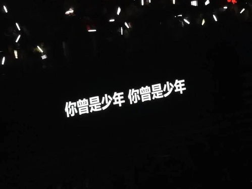 创意独特的意思，风味独特的意思