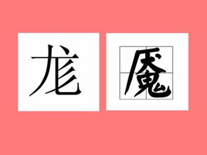 龚怎么读音，一个马一个尨怎么读