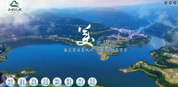 游化老师名字的由来，游化老师真实学历