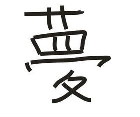 两个赤字读什么，木和石组成的字读什么