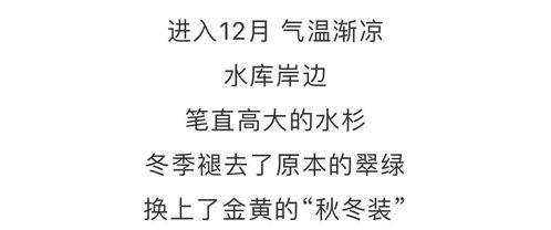 依偎的反义词近义词，依偎的反义词语是什么