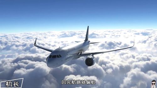 偏航法采，偏航谢凌云