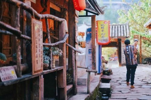 傣笠的拼音，傣的拼音和组词