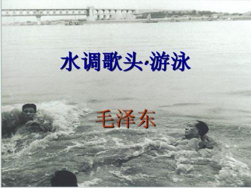 任凭的拼音是什么