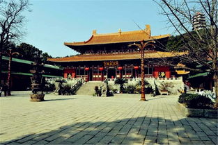 庐山东林寺官网直播虎溪课堂，庐山东林寺官网公众号