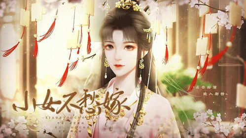一品夫人成长记，一品夫人和一品诰命夫人