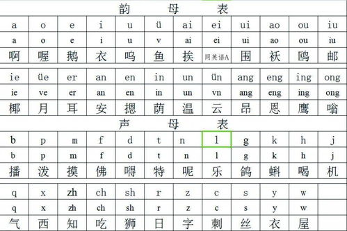 音字加部首组成新字，音字的部首是哪个部首