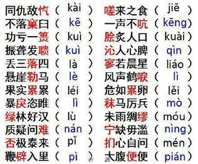 率的拼音是什么