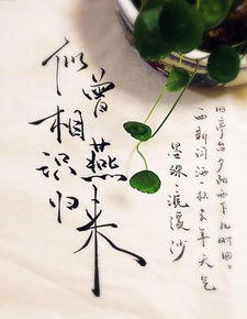 似曾相识燕归来(猜上一句)，似曾相识燕归来的上一句是哪一句