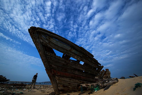 苍海的意思，沧海一声笑歌谱