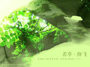黛绿的拼音，黛绿greensakura