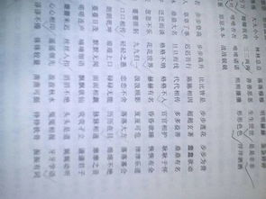 aabc式词语大全
