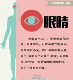 用无暇顾及造句