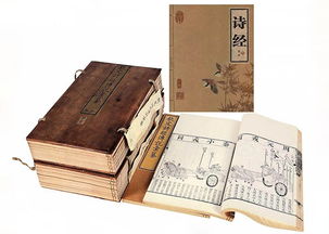 诗经是哪个朝代