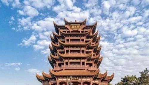 马如游龙的解释