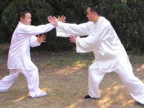 八卦拳视频教学视频，八卦拳之武林争霸