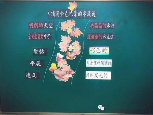 滨字组词有哪些