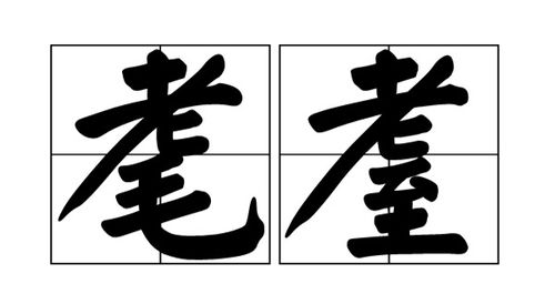 耄耋怎么读同音字，耄耋怎么读笄怎么读