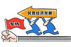 什么是个体经济